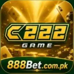 C222 Game