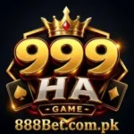 999HA Game